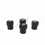 Nissan Tire Valve Stem Cap